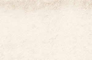 Euro Tile Stone Alchima Ivory