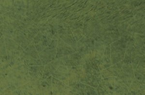 Euro Tile Stone Alchima Olive