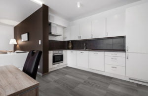 Euro Tile Stone Amelia Carbon Kitchen