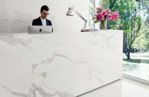 Euro Tile Stone Bianco D'Italia Arabescato Reception