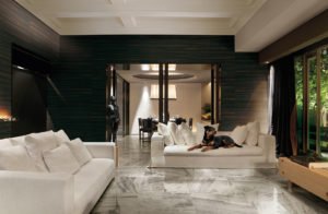 Euro Tile Stone Marmi Gray Living Room Dog