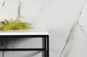 Euro Tile Stone Statuario Wall