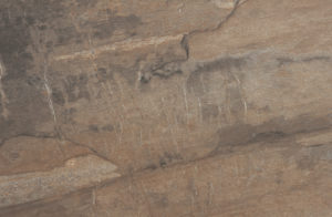euro-tile-stone-tucson-marron