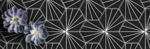 request-a-quote-header