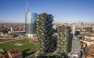 euro-tile-stone-vertical-forest-blog-post