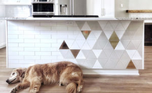 euro-tile-stone-koda-interiors-island-triangle-dog