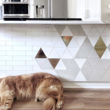 euro-tile-stone-koda-interiors-island-triangle-dog