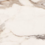 euro-tile-stone-byron-calacatta-oro