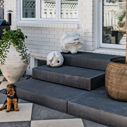 euro-tile-stone-west-of-main-2cm-porcelain-pavers-backyard-dog