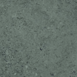 SHELLSTONE - DARK