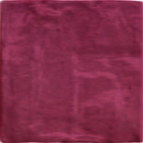 RIAD - RED