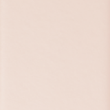 Spectre - ROSE