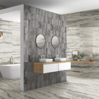 photo de style pour les carreaux de porcelaine d'amazonie