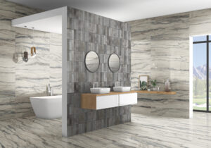 lifestyle shot for amazonas porcelain tile