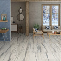photo de style pour les carreaux de porcelaine d'amazonie