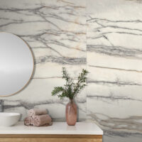 photo de style pour les carreaux de porcelaine d'amazonie